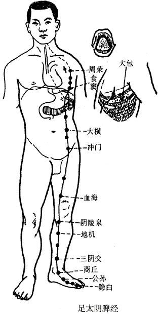 shierjingmai_04.gif