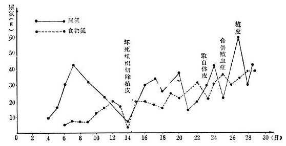 linchuangyingyangxue153.jpg