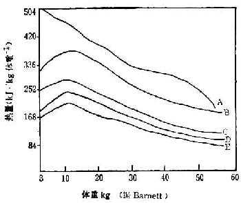 linchuangyingyangxue095.jpg