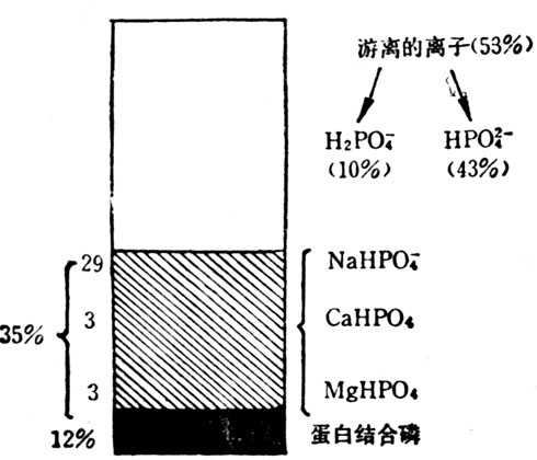 linchuangyingyangxue092.jpg