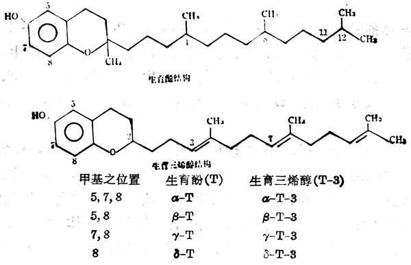 8ȻάEĹ 